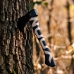 Picture of WOOX® Volante - Wood Logo