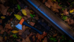 Picture of WOOX® Thunderbird - Orange