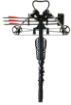 Picture of Catalyst Crossbow