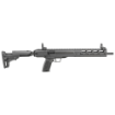 Picture of LC Carbine - State Complaint Model