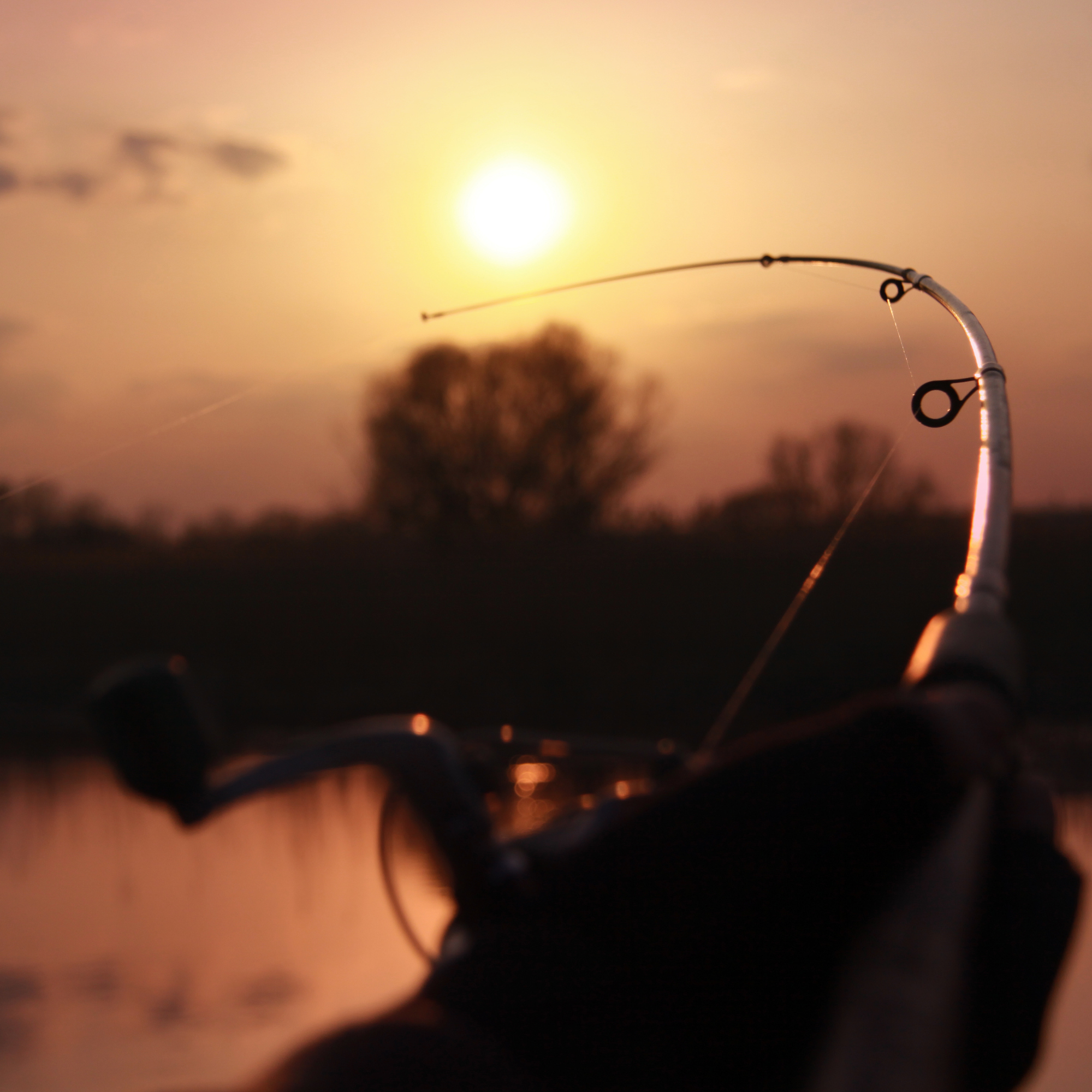 Picture for category Fishing