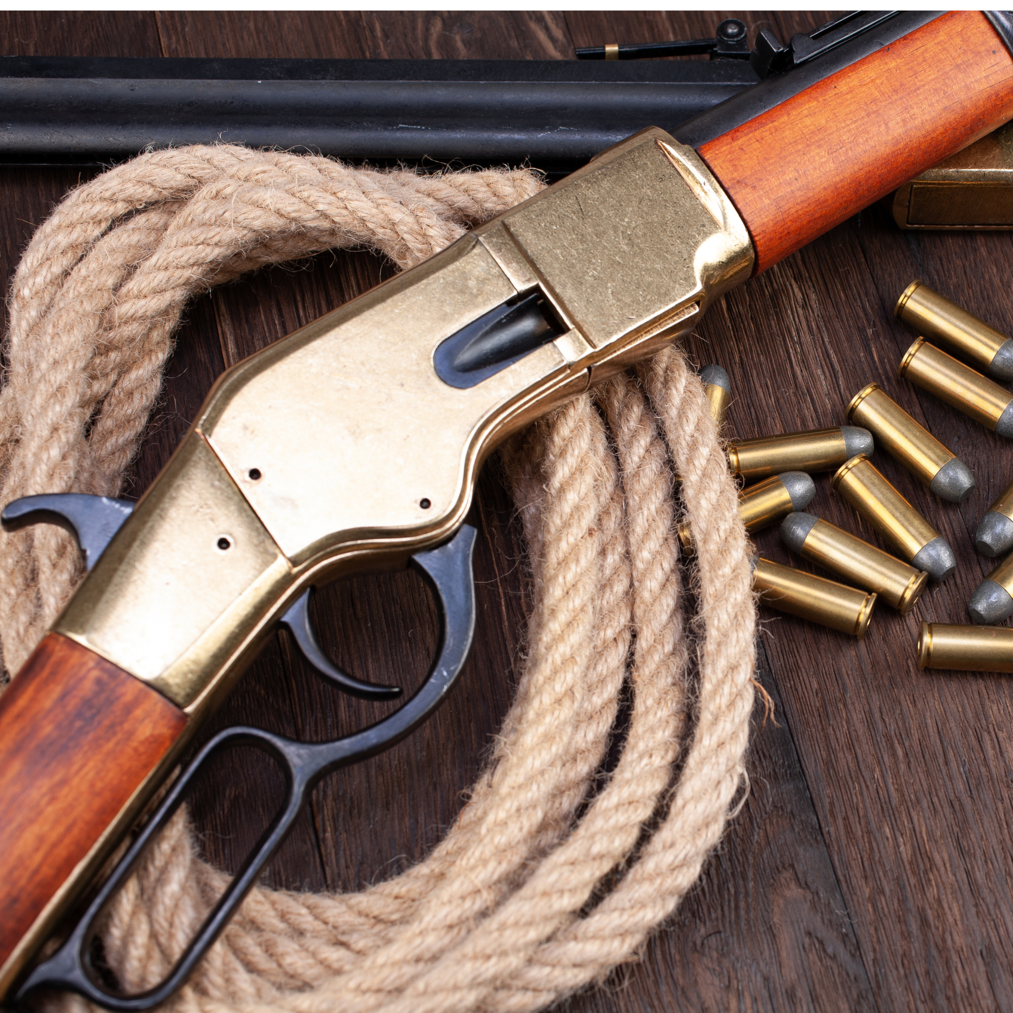 Picture for category Lever Action Rifles