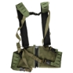 Picture of Blue Force Gear 10 Speed Split Front Chest Rig - Fits (4) M4/AR-15 Magazines - Cordura Construction - Ranger Green MM-TSP-CHESTRIG-M4-01-RG