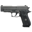 Picture of Sig Sauer P220 - Legion - Double Action/Single Action - Semi-automatic - Metal Frame Pistol - Full Size - 10MM - 5" Barrel - Alloy - Legion Gray - Black G10 Grips - XRAY3 Day/Night Sights - Optic Ready - Decocker - 8 Rounds - P-SAIT Trigger - 3 Magazines 220R5-10-LEGION-R2