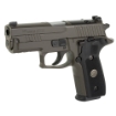 Picture of Sig Sauer P229 - Legion - Double Action/Single Action - Semi-automatic - Metal Frame Pistol - Compact - 9MM - 3.9" Barrel - Alloy - Legion Gray - Black G10 Grips - XRAY3 Day/Night Sights - Optic Ready - Decocker - 10 Rounds - P-SAIT Trigger - 3 Magazines 229R-9-LEGION-R2