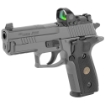 Picture of Sig Sauer P229 - Legion RXP - Double Action/Single Action - Metal Frame Pistol - Compact - 9MM - 3.9" Barrel - Alloy - Legion Gray - G10 Grips - XRAY3 Day/Night Sights - Decocker - 15 Rounds - ROMEO1 PRO Reflex Optic - 3 Magazines E29R-9-LEGION-RXP