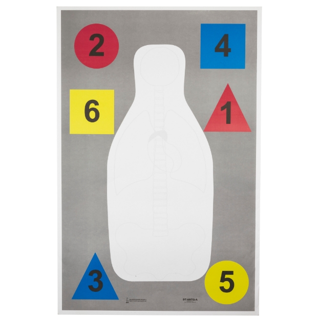 Picture of Action Target DT-ANTQ-A Anatomy And Command Training Multi Purpose Target - FBI-Q Target - Vital Anatomy And Shapes - Black/Red/Blue/Yellow - 23"x35" - 100 Per Box DT-ANTQ-A-100